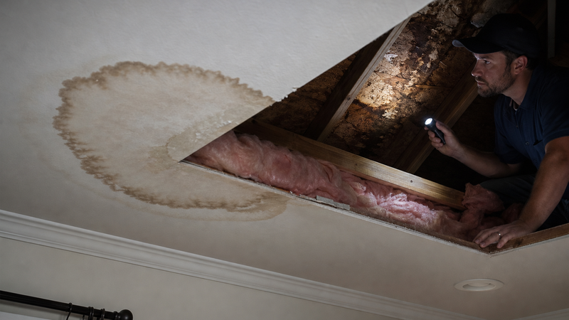 Roof Leak Warning Signs You Shouldn't Ignore